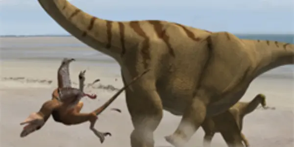 Brontomerus Mcintoshi - New Dinosaur Species May Have Kicked Opponents To Death