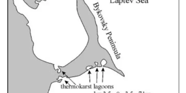 New Arctic - New Discoveries