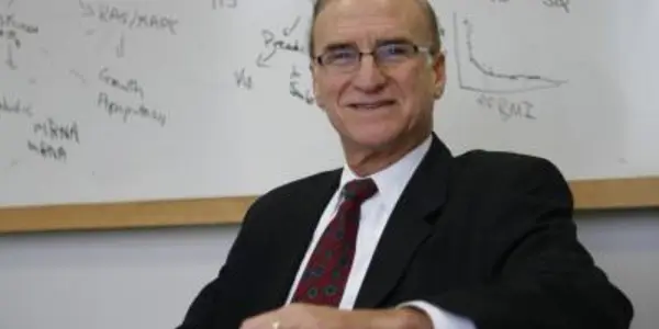 Biology Of Fat: Process That Affects Metabolic Syndrome Identified