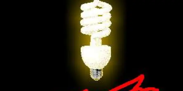 CFL Bulbs: Save The Planet, Make Your Pets Insane
