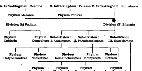 Whittaker's Five Kingdom Classification
