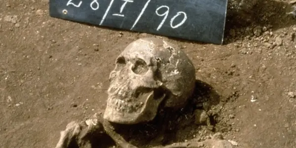 Columbus In America: What The Teeth Of New World Explorers Can Tell Us Today