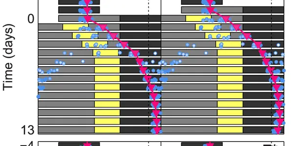 Entrain: Boost Jet-Lag Recovery Using Math