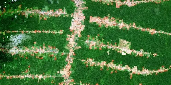 Global 'Roadmap' Shows Where To Put Roads Without Costing The Earth