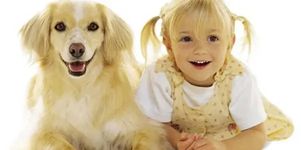 Human Norovirus Might Infect Dogs, Can They Infect Us Back?