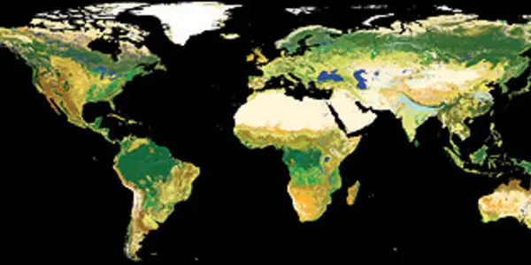 ESA Makes Global Land Cover Map Available
