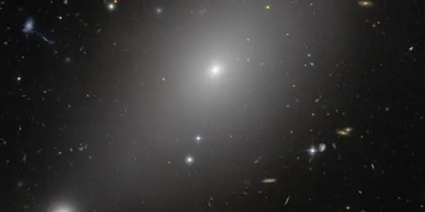 Cannibal Galaxies Ate Their Neighbors?