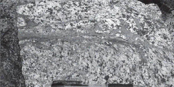 Earthquake 'Fossils' Abundant, Says Study
