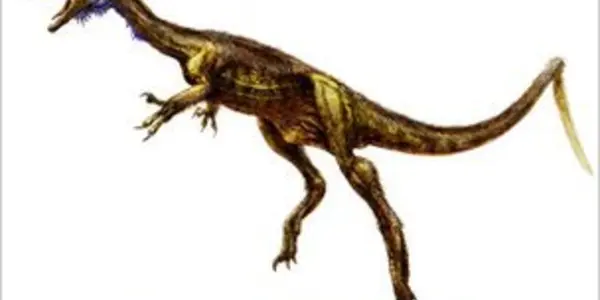 Dawn Of The Dinosaurs And The Carmian-Norian Transition