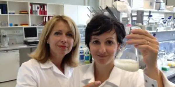 Allergic To Milk Or Lactose Intolerant? Here's Why