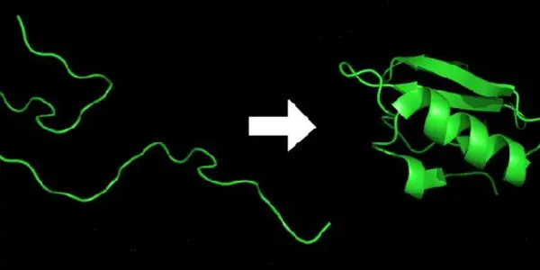 Addictive Online Games Make Citizen Science A Hit