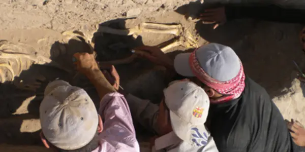 Technology Made Civilization - It Also Spread Disease 6,000 Years Ago