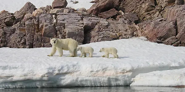 Arctic Extremophile Winter Pep Talk
