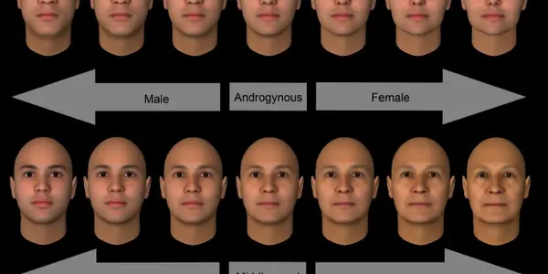 Field Of View: Why The Same Face May Look Male Or Female