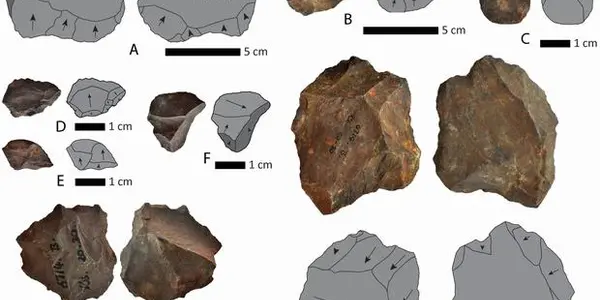 Acheulean Artefacts: Stone Age Find In Northern Cape Of South Africa