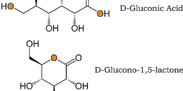 Plastic From Glucose