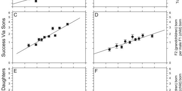 Girl Power In The Animal Kingdom: Females Can 'Choose' The Sex Of Offspring