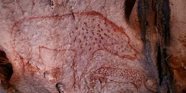 Global Cooling Killed Cave Bears 13,000 Years Earlier Than Believed, Says New Study