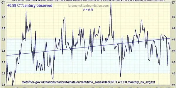 Guest comments on GCMs and Global Warming from Prof Robert G Brown Of Duke University