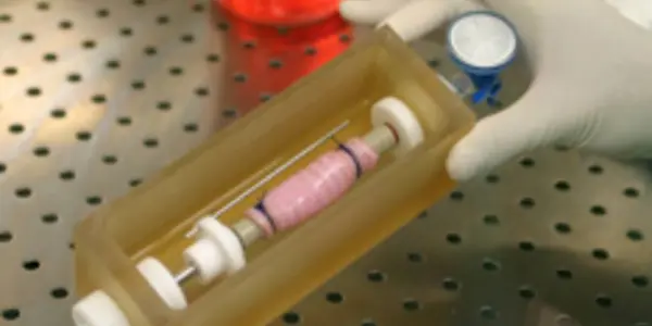 Not Science Fiction: The Road Map To Organ Transplants With No Waiting List