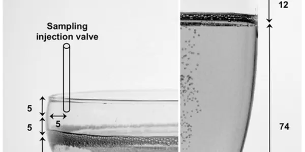 Champagne Science: Flute Or Coupe For The Best Bubbles?