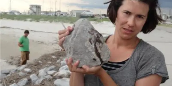 DOSS Dispersant From Deepwater Horizon Spill Persists For Four Years