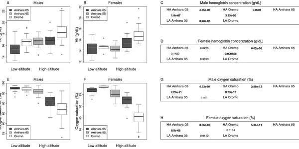 Convergent Evolution? Biological Adaptation To Thin Air And A Gene Trait Quirk