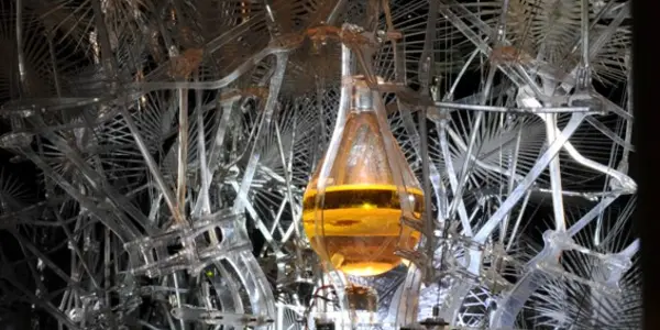 Synthetic Biology: Living Buildings May Help Fight Global Warming