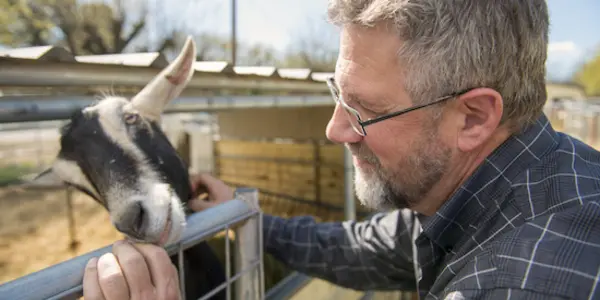 Genetically Modified Milk Cures Diarrhea, Could Save Millions Of Kids Annually