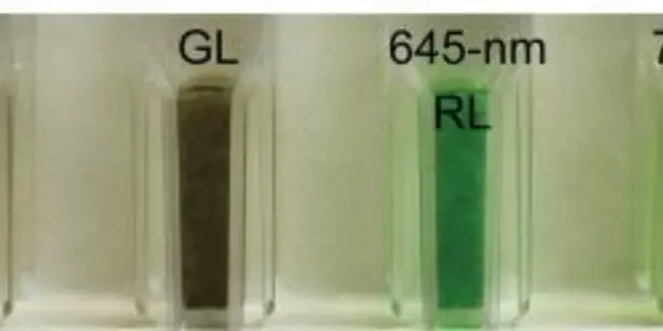 Bacteria In Hot Springs Use Far-Red Light Wavelengths For Photosynthesis