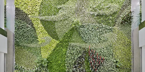 Green Walls: Vertical Gardens Flip Parks On Their Sides