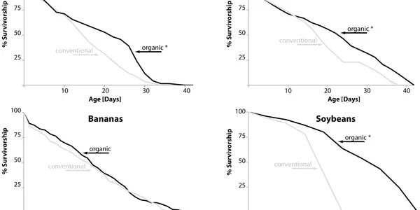 Fruit Flies On Organic Diets Lived Longer, Had Greater Fertility