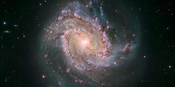 The Black Hole In Messier 83 Is Not Alone