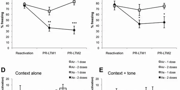 Xenon Gas Can Erase Traumatic Memories