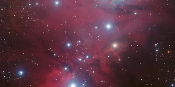 NGC 2264 - The Cosmic Christmas Tree Star Cluster Gets A New Image