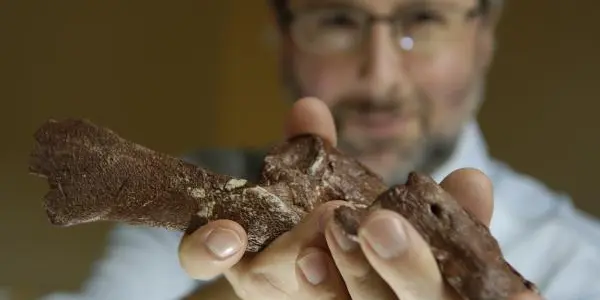 30 Days Of Evolution Blogging: What Tiktaalik Roseae Means To You And Me