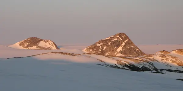 5 Tips To Survive The Upcoming Ice Age