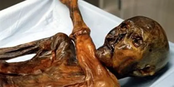 Genetic Dead End - 5300 Year-Old Oetzi Has No Modern Relatives