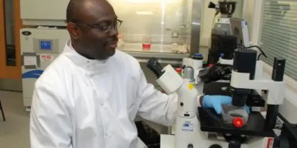 Alzheimer's And Parkinson's Drug Made From Pomegranate