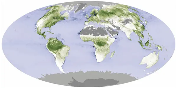 Where Does The CO2 Go?  The Mystery Of The Missing Sinks