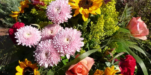 Plants decoration is an art  which can make you happy