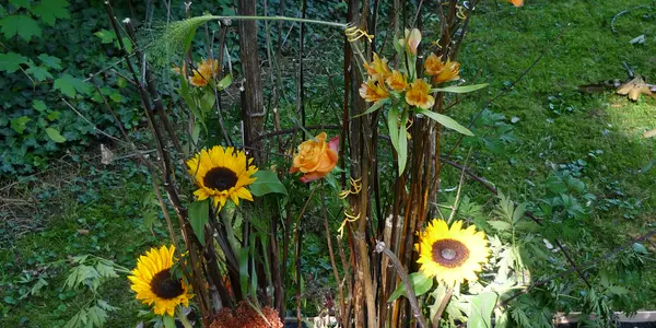 Novel ideas of plant decorations