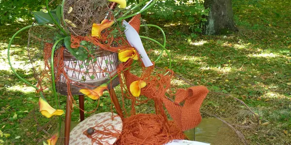 Different ways to decorate plants