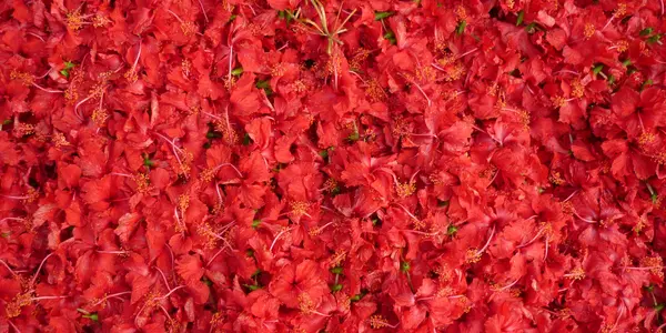 Why different Gods in Indian mythology are worshipped by different plant materials and flowers