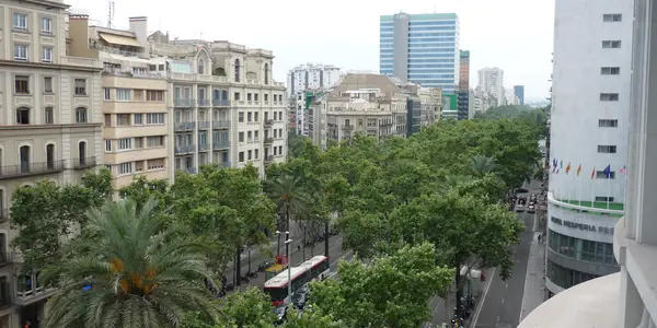 If Barcelona road could have trees on them Jaipur had it 3 centuries ago but not now .
