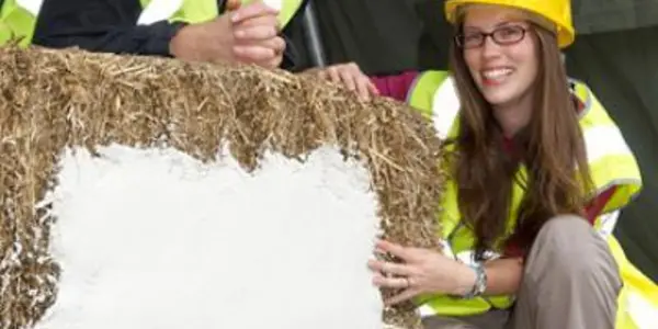 At Least One Little Pig Concerned - New Houses To Be Made Of Straw