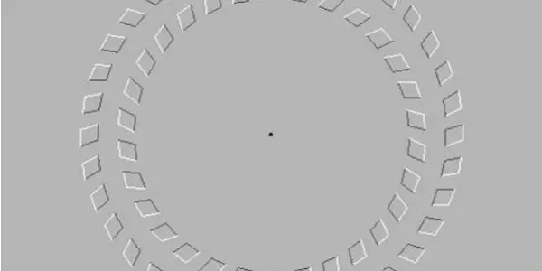 Best Illusion. Ever.