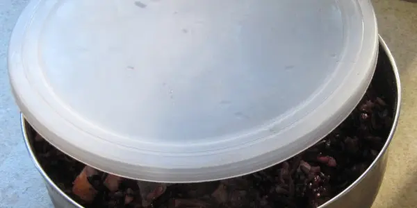 The Lid’s Tale