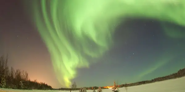 Arctic Bright
