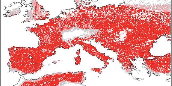Climate Change Or Competition?   The Neanderthal Extinction Debate Goes On